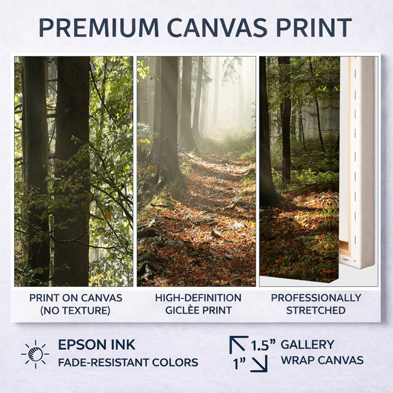Forêt d'automne verte avec rayons de soleil - ensemble d'art mural sur toile encadré paysage, H 28 po x l 36 po, Blanc