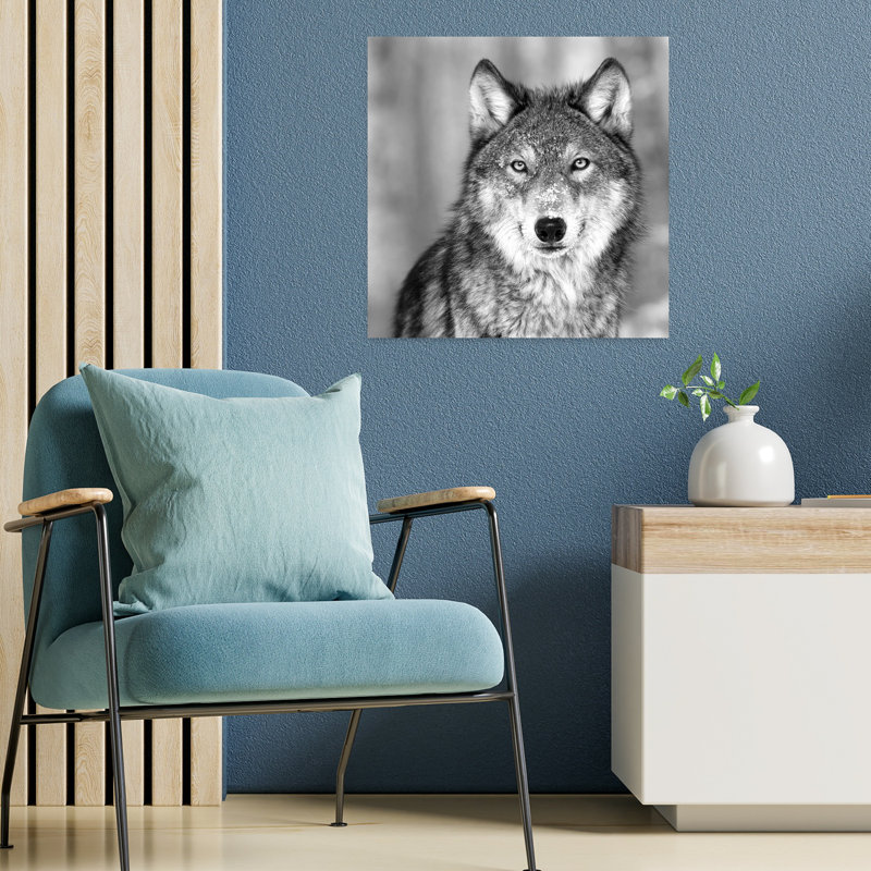 Art contemporain loup, H 18 po x l 18 po