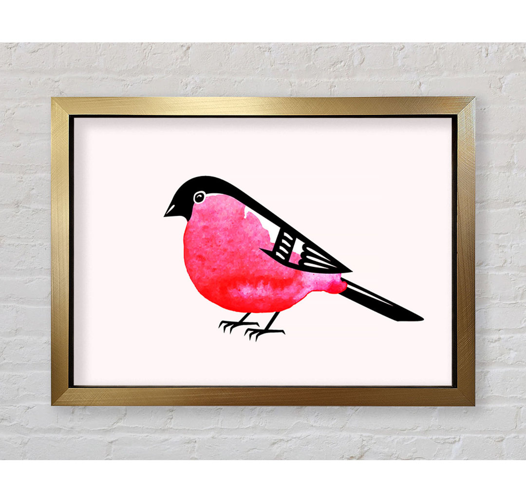 Pink Robin Breast - Druck