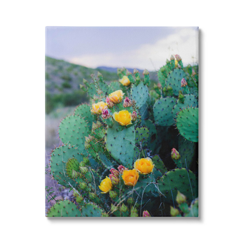 Vivid Cactus Blossoms - Photographie sur toile tendue, H 20 po x l 16 po x P 1,5 po