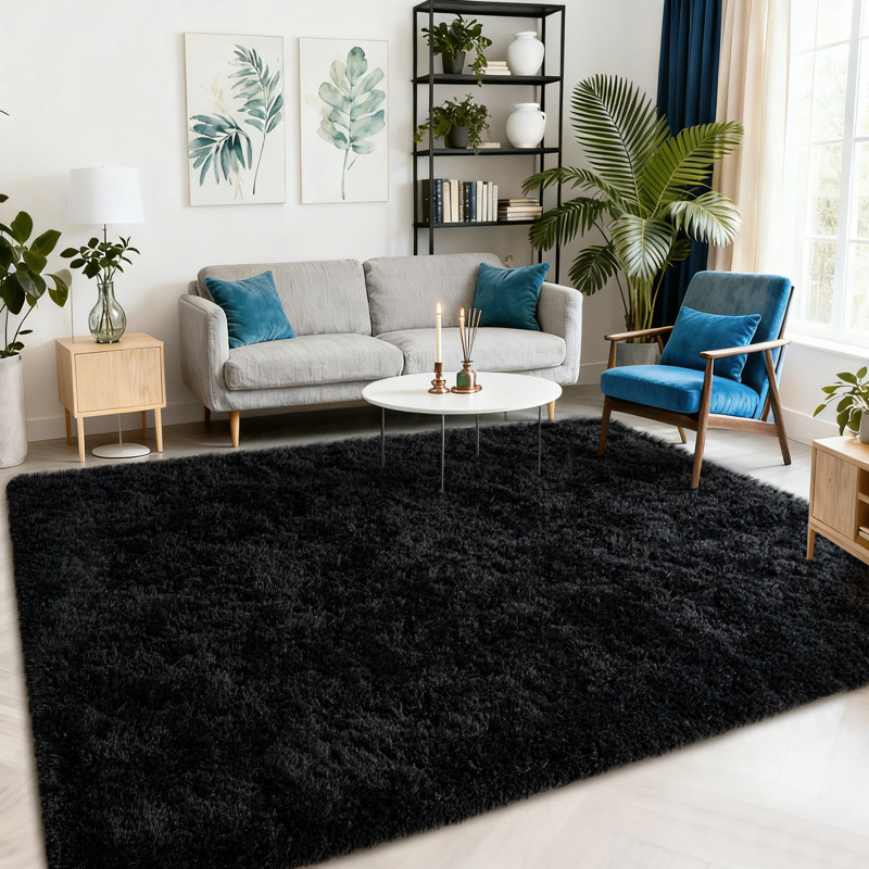2x3ft Black Shaggy Rug for Living Room, Ultra-Soft Fluffy Rug for Bedroom, Non-Slip Ideal for Kids' Rooms, Dorms, and Home Decor