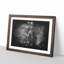 The Majestic Elephant - Picture Frame Graphic Art Print-56875900-56875899