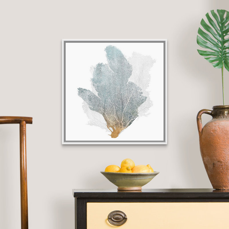 «Delicate Coral II» par Isabelle Z - reproduction d'art sur toile, Toile avec cadre flottant, H 22 po x l 22 po, Blanc