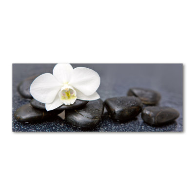 Orchid - No Frame Print on Canvas