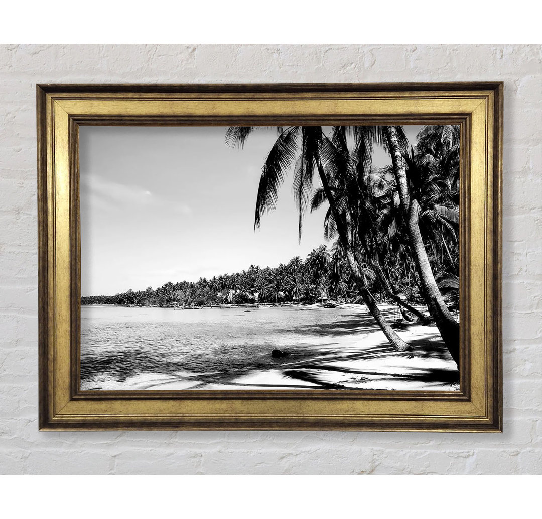 Beach Palms B N W - Druck