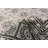 Stewart Oriental Indoor Rug-54339221