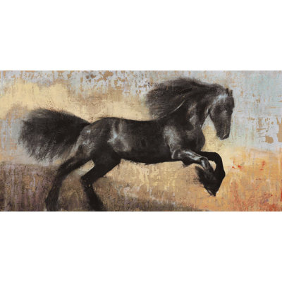 Black Stallion by Dario Moschetta - Wrapped Canvas Print