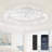 24 Inch Low Profile Ceiling Fans with Lights and Remote-835616066
