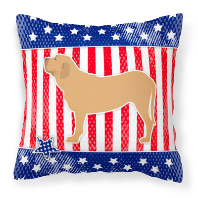 Coussin intérieur/extérieur Patriotic