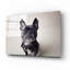 "Bailey" par Susan Sabo-1290787543