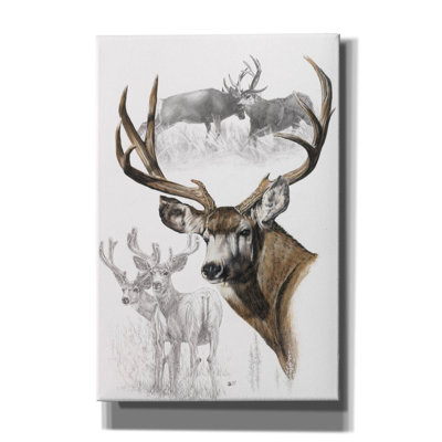 " Mule Deer " by Barbara Keith