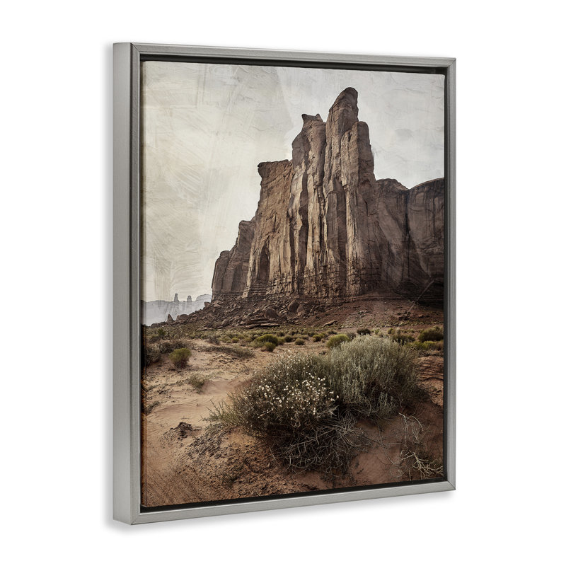 Cadre flottant Desolate Rock View, design par Kim Allen, Cadre flottant gris lustré, H 31 po x l 25 po