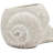 8.3X7x4.7" Decorative Sand And Cement Snail Planter With Textured Beige Finish