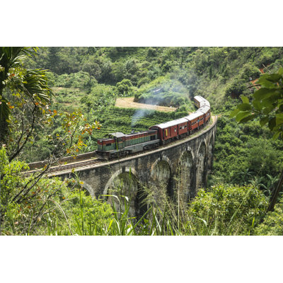 Train à vapeur dans la jungle - Photographie sur toile tendue