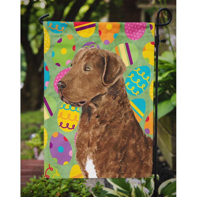 Drapeau de jardin Atara, Retriever de la Baie de Chesapeake