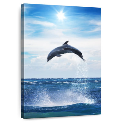 Brampt Flying Dolphin
