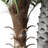 Fake Palm Tree in Pot with Real Bark and Realistic Leaves for Indoor and Outdoor Deor.-559151486