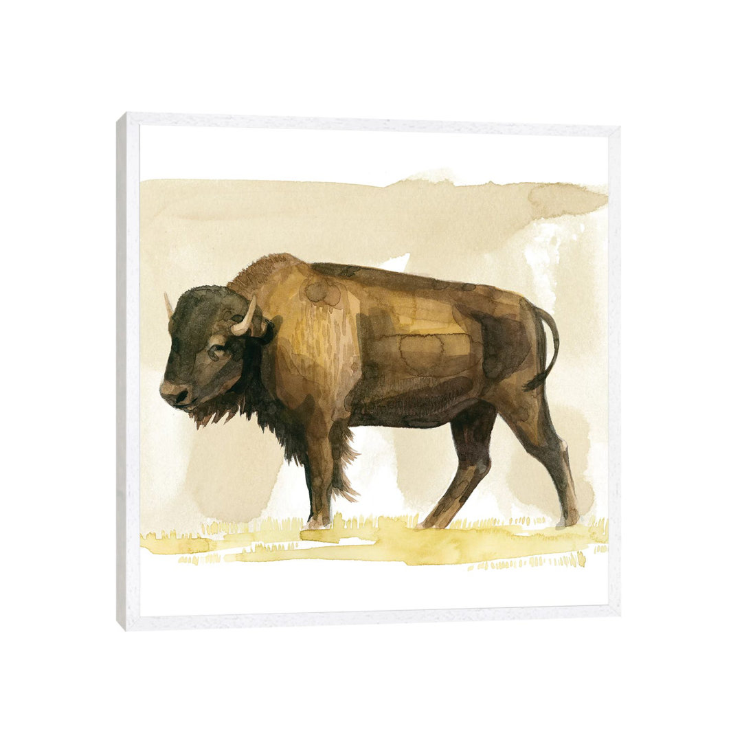 Bison Aquarell Skizze II