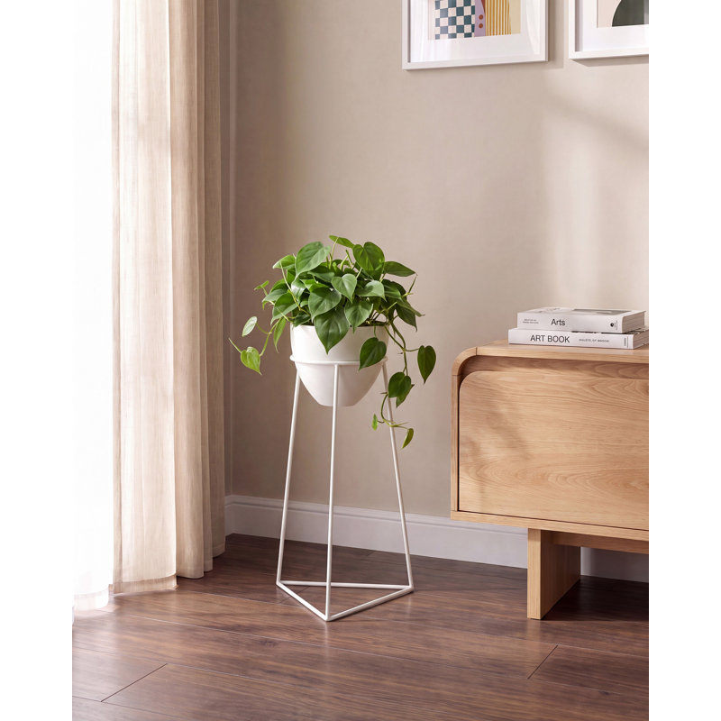 Iron Indoor Elevated Planter
