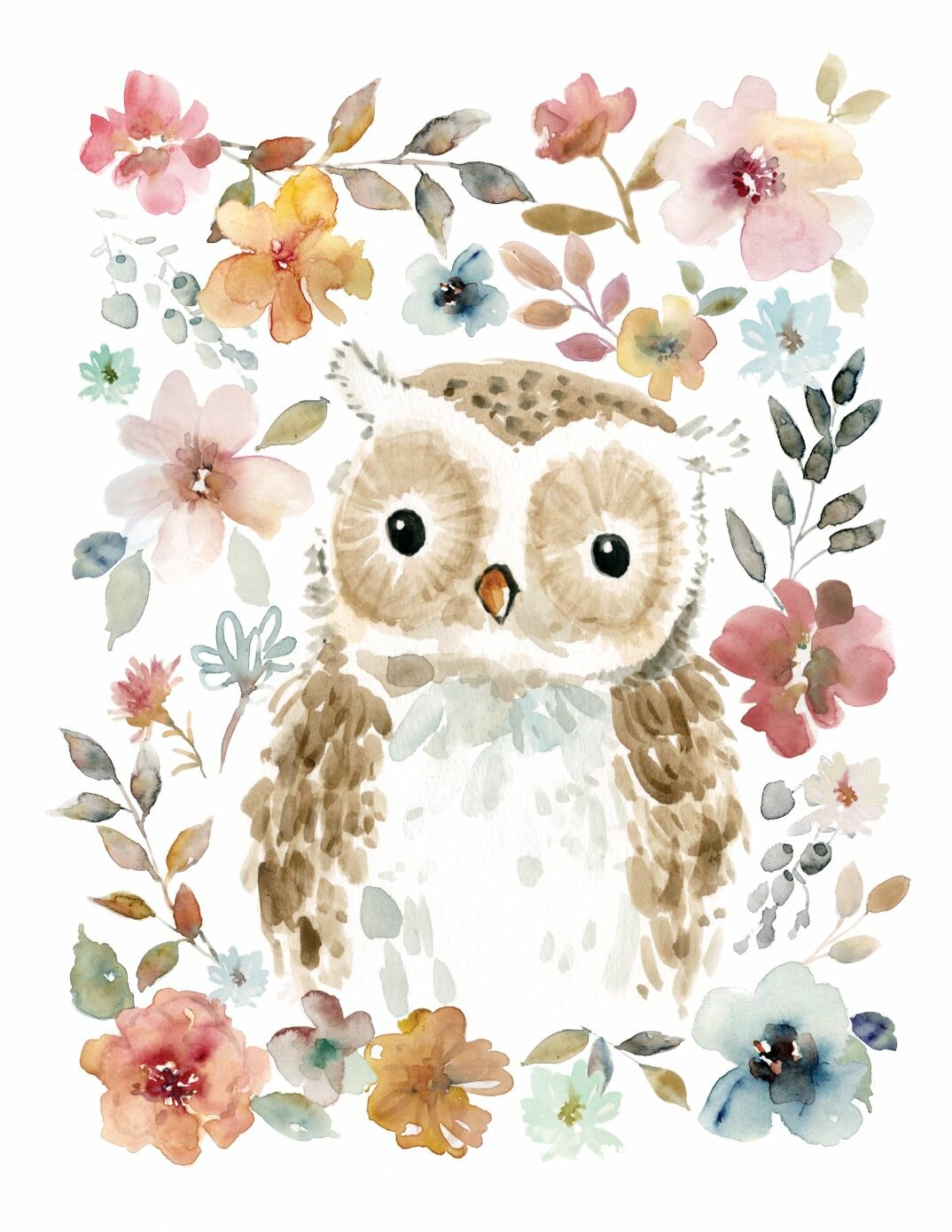 owl pictures to print