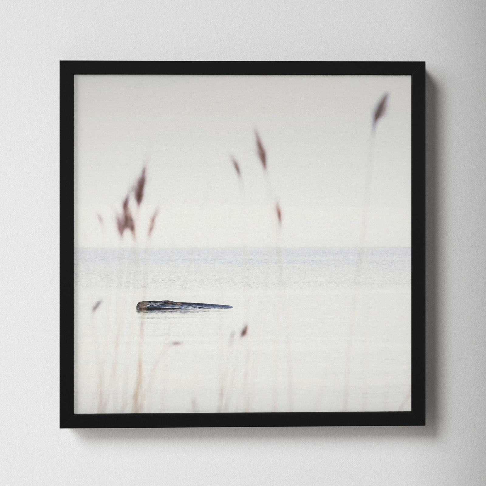 Georgian Bay Shore by Peter Dušek, Black, 16" H x 16" W x 1.25" D