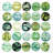 Green Circles Print On Canvas