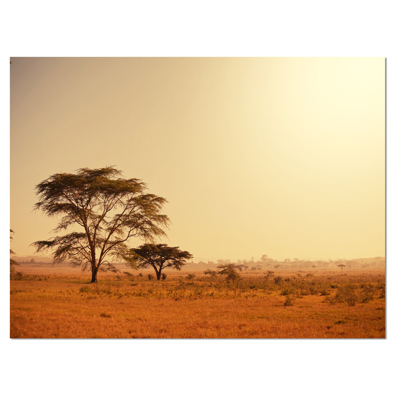 Trees in Large African Landscape - Reproduction de photo sur toile tendue, H 30 po x l 40 po