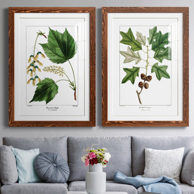" Mountain Maple " 2 - Pieces