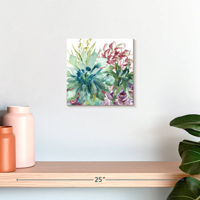 Aquarelle Harnek Succulent Garden II