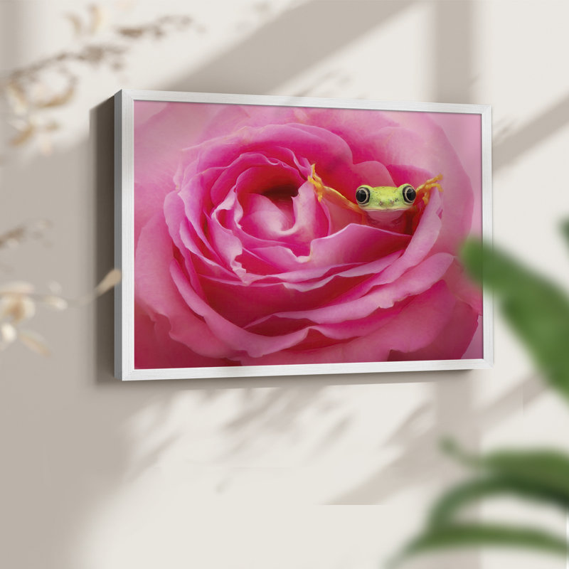 Hanging On VIII -Framed Print - Restickable, White, 16" H x 20" W