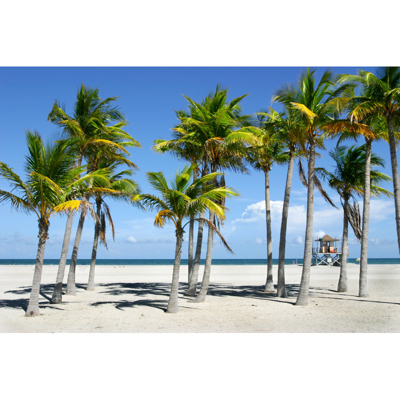 Tropical Palm Trees - Wrapped Canvas Print, 30cm H x 46cm W x 3.8cm D