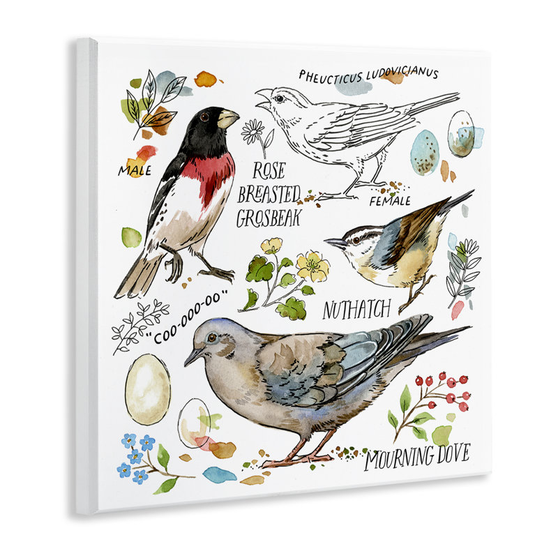 Art mural, oiseau, par Jane Maday