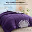 Insertion de couette matelassée à blocs de couleur très grand - mauve et mauve pâle, duvet synthétique, toutes saisons-122443356-126364010