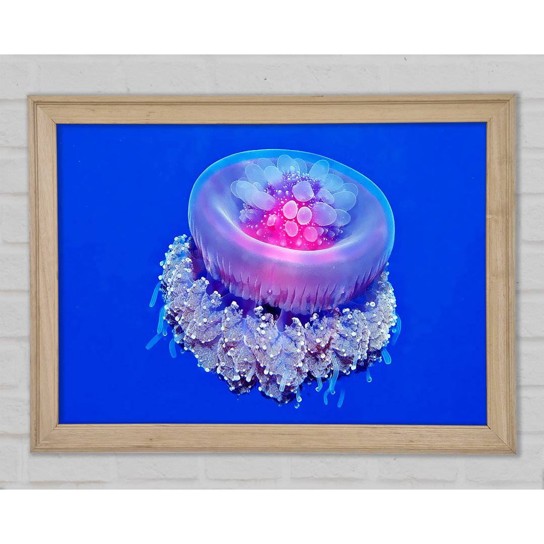 Gerahmtes Bild Jellyfish Pink