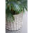 Mosley 2-Piece Planter Set-1509251171