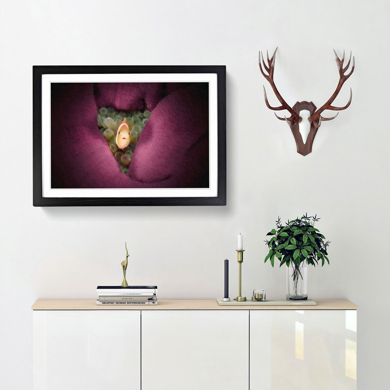 Clownfish & Sea Anemone - Picture Frame Painting, 36cm H x 48cm W x 2cm D, Black Framed