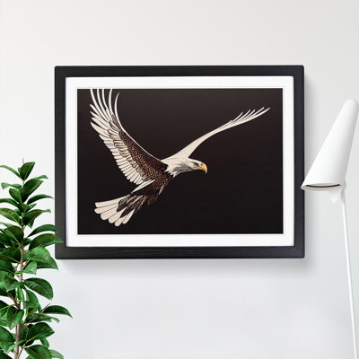 Delightful Eagle Bird - Single Picture Frame Print