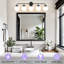 Jaxon Dimmable Vanity Light, Bulbs not Included-90701292-94815280