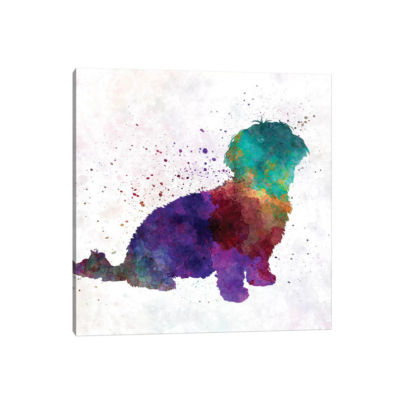Havanese In Watercolour by Paul Rommer - Wrapped Canvas Painting, 93.98 cm H x 93.98 cm W