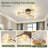 Iftikar 33“ Ceiling Fan with 6 lights