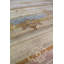 Oushak One-of-a-Kind 10'1" X 13'11" Area Rug