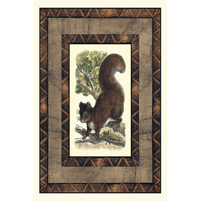 Rustic Squirrel - Wrapped Canvas Art Prints