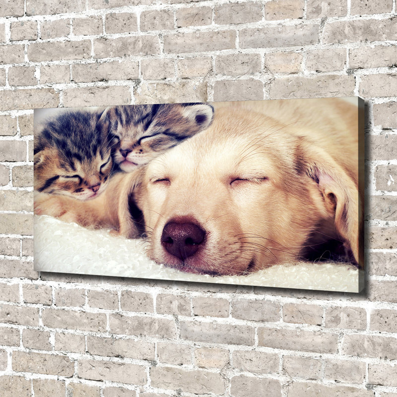 Puppy And Cats - Wrapped Canvas Print