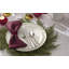 Studio 1414 Coupe I 12 Piece Dinnerware Set