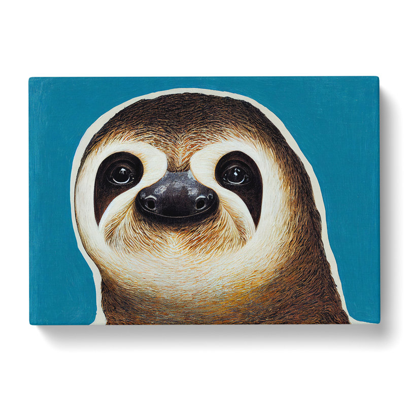 Sloth Portrait Vol.4 - Wrapped Canvas, 50cm H x 76cm W x 3cm D