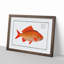 Goldfish by M.E. Bloch - Framed Print-55735535-55735538