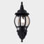 Shuler Black Outdoor Wall Lantern