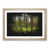 Oak Framed selected