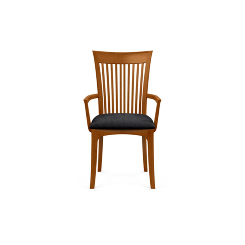 Sarah 19.25'' H Upholstered Armchair, Autumn Cherry, Onyx Microsuede