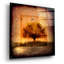 «For the Love of Trees III» par Lightbox Journal, verre acrylique Wal Art-369802220